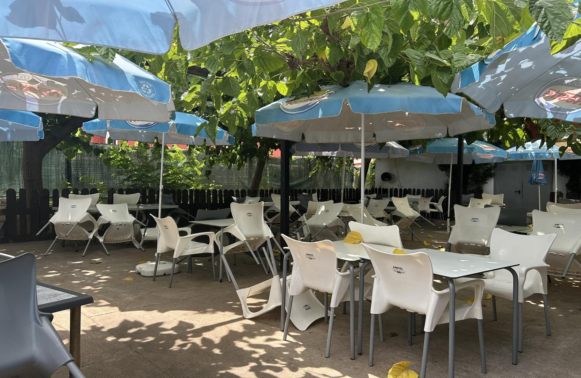 Sant Pau Platja, calçotadas con los mejores calçots de la zona en Borriol.